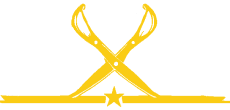 Icone da Logo